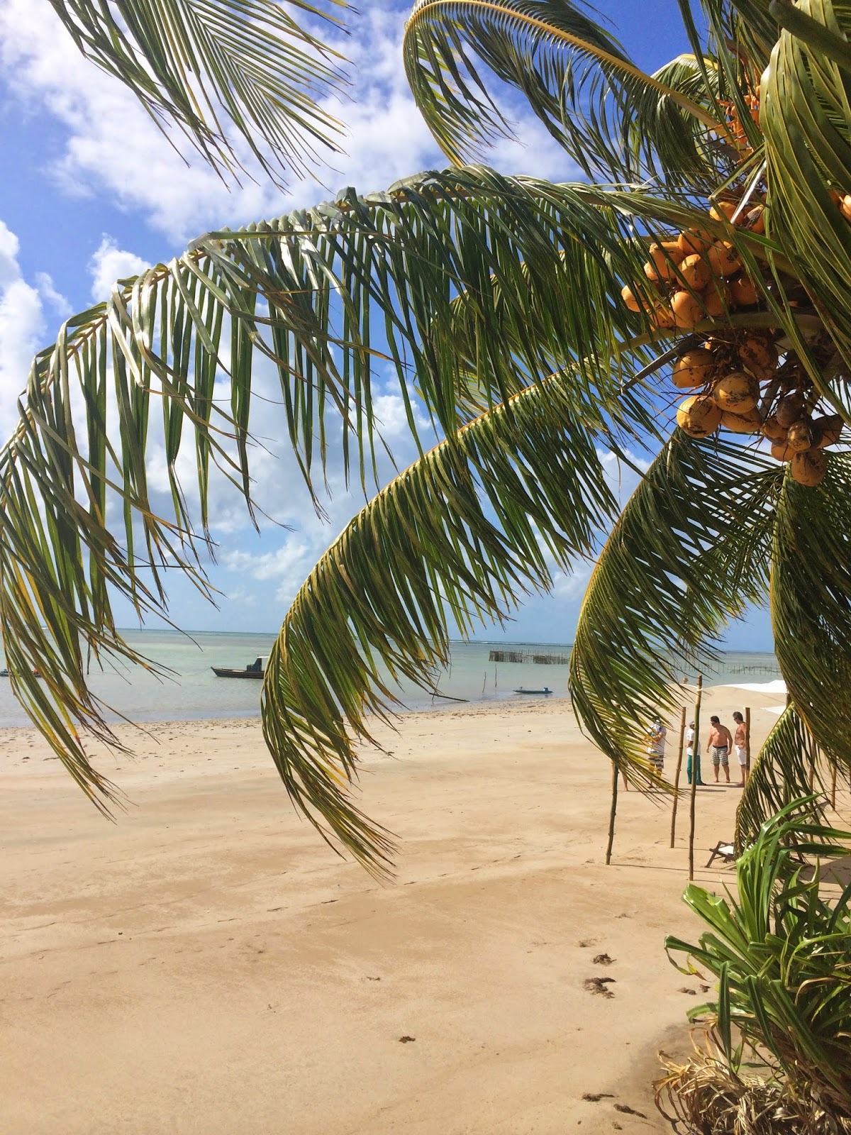 Brasil – Alagoas – São Miguel dos Milagres