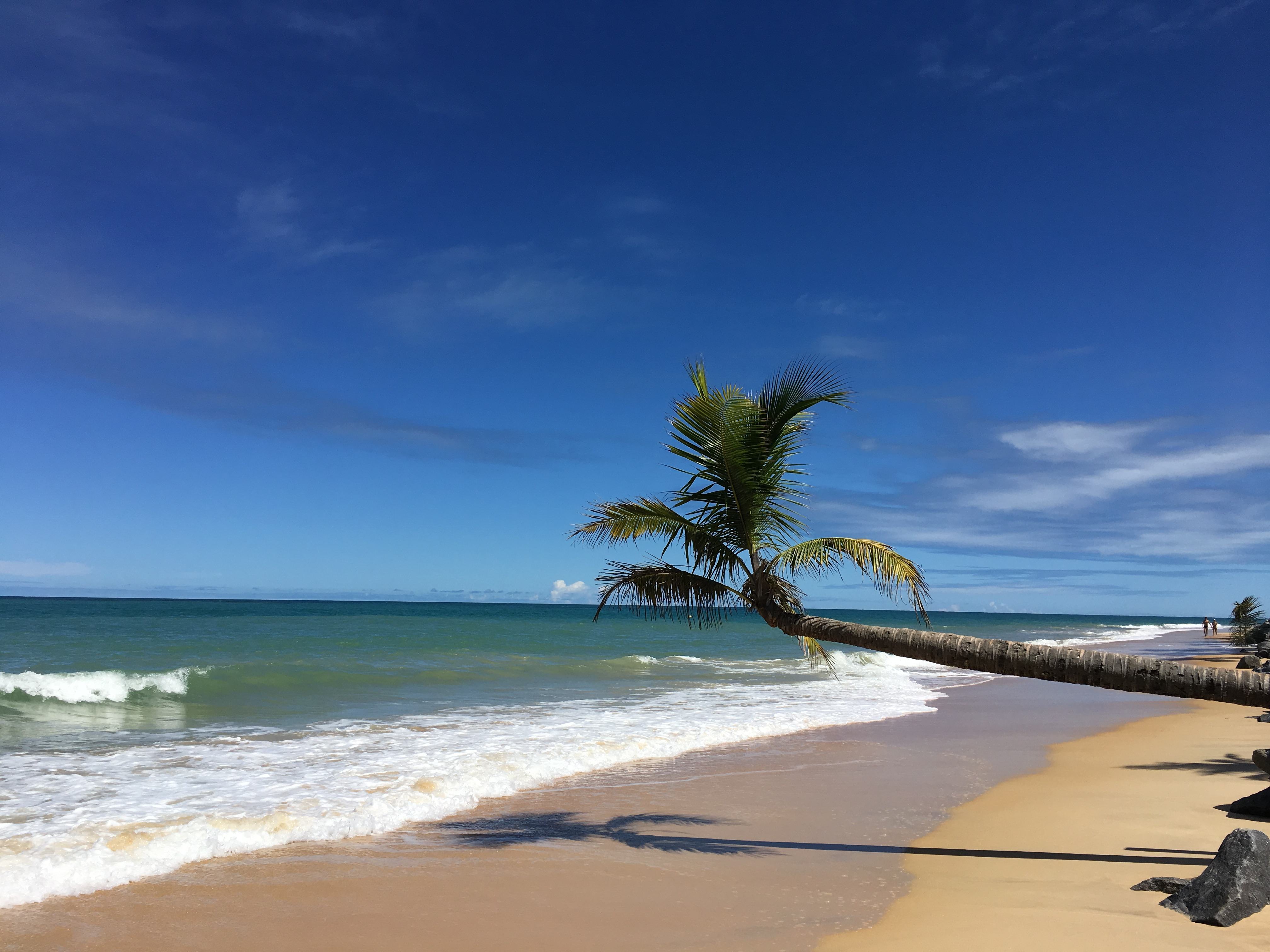 Brasil – Bahia – Trancoso
