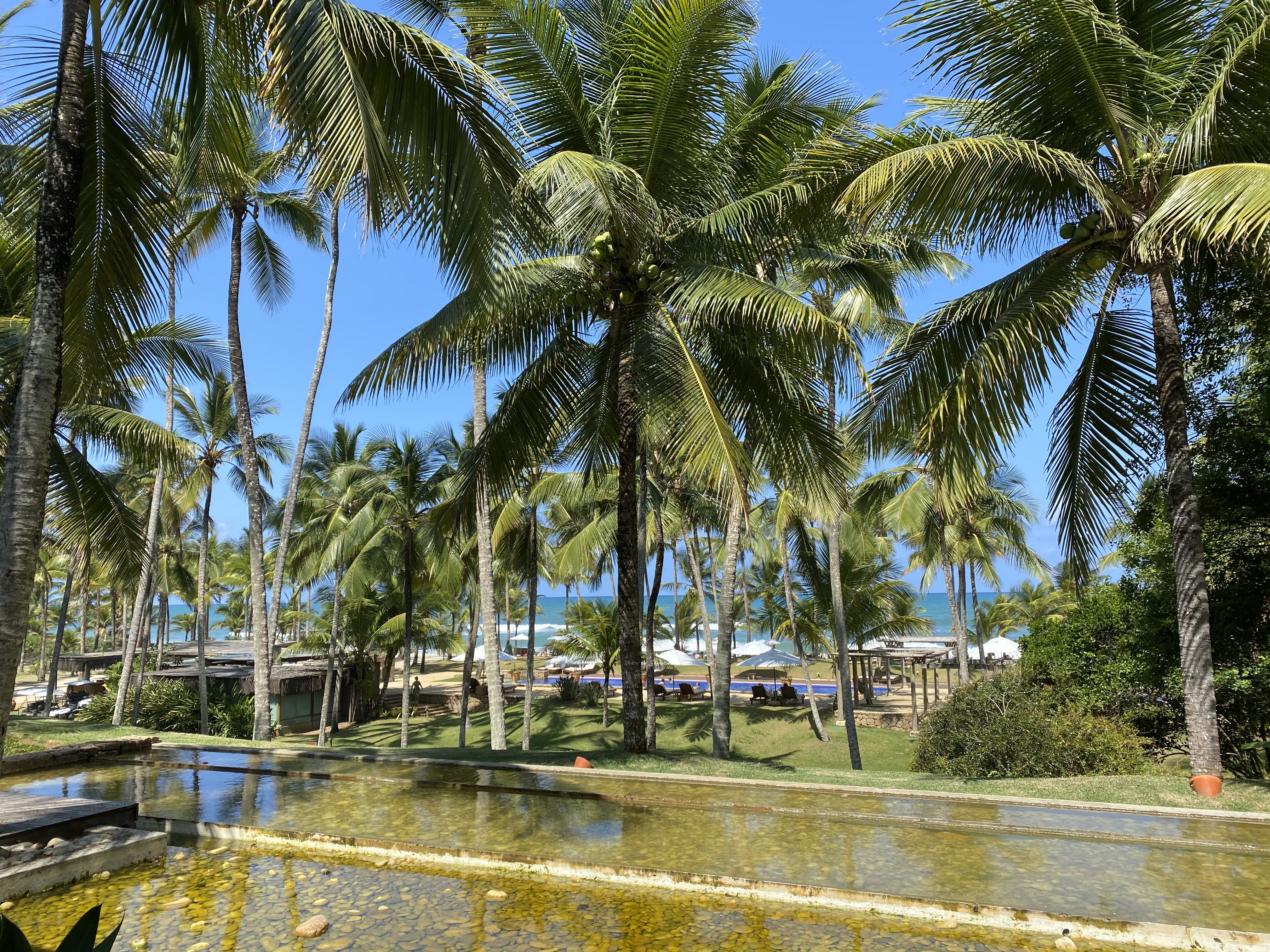 Nordeste – Bahia – Itacaré