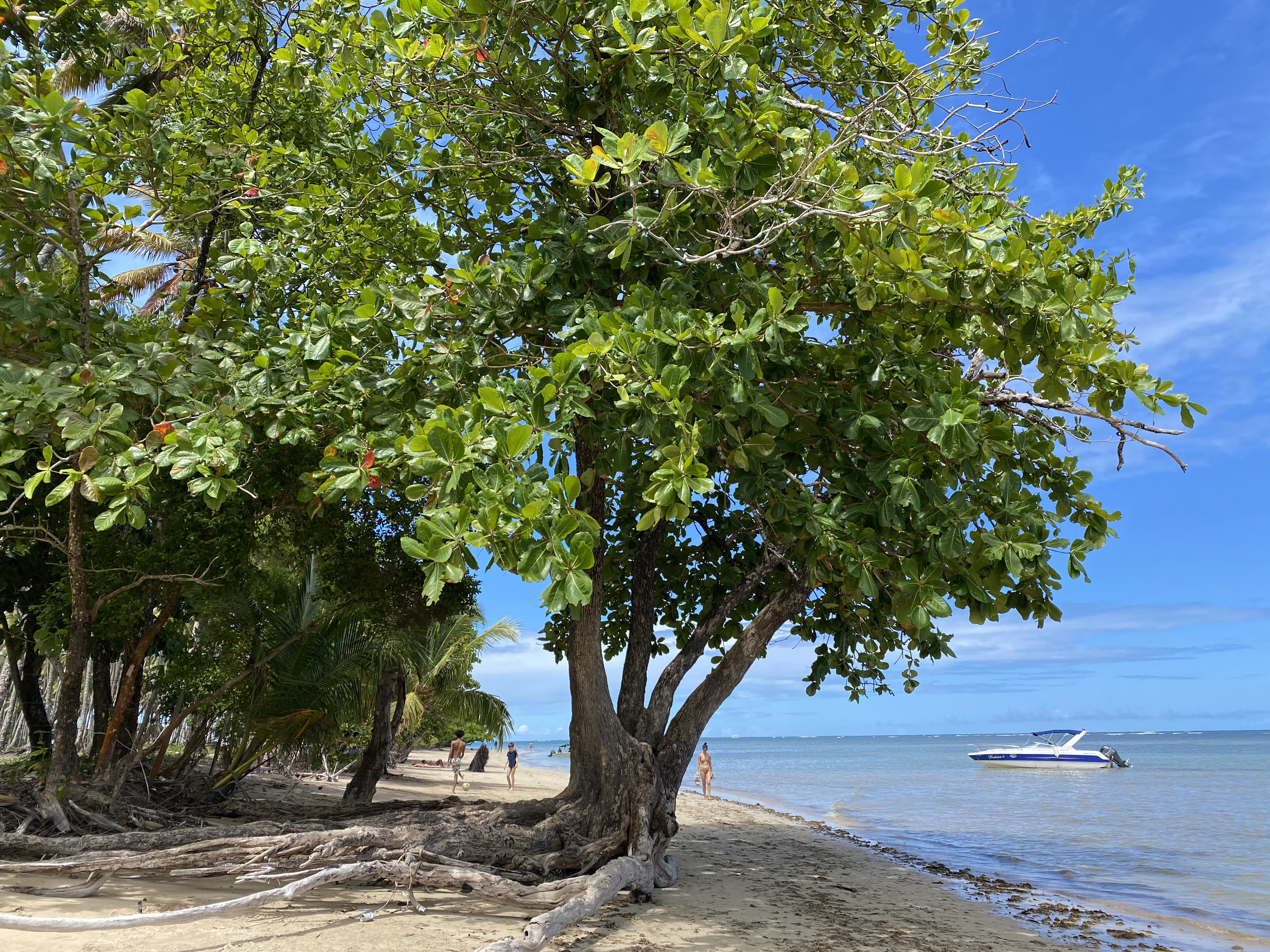 Nordeste – Bahia – Morro de São Paulo – Passeios